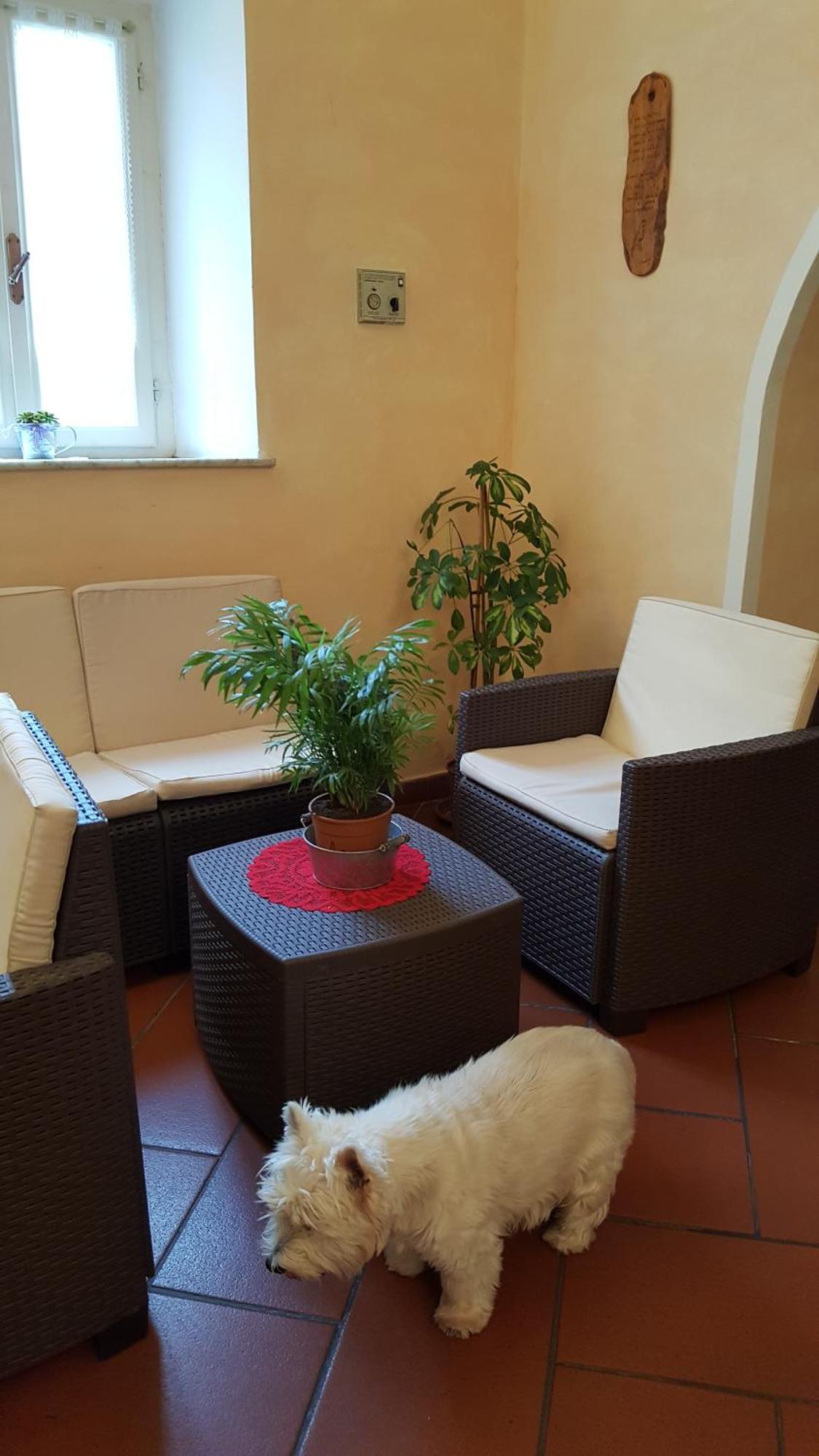 Hotel Bambolo Castagneto Carducci Buitenkant foto